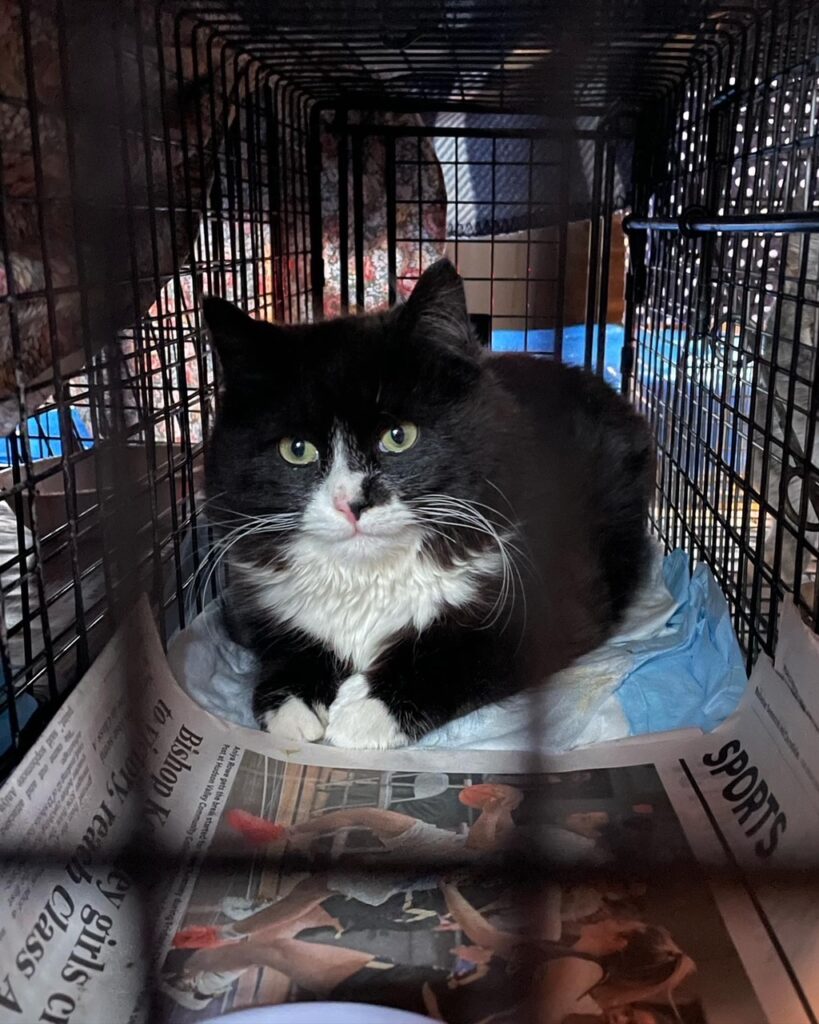 Finally a tally for May 2 rockats.org