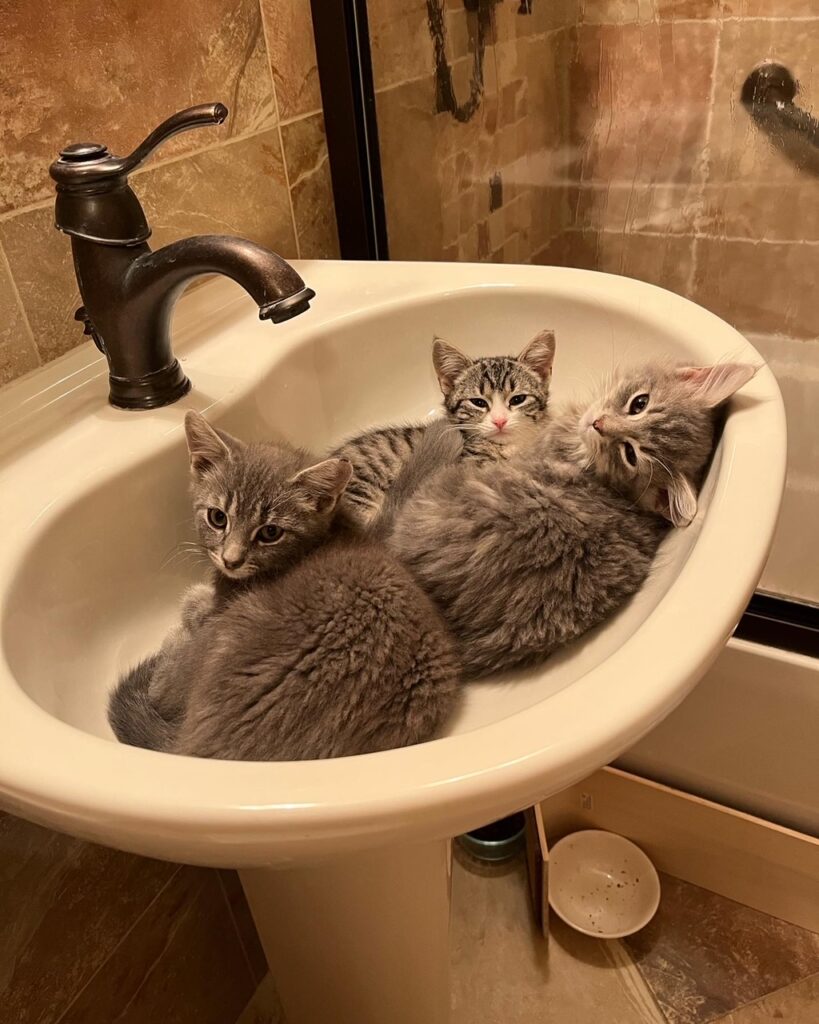 Finally a tally for May 7 rockats.org