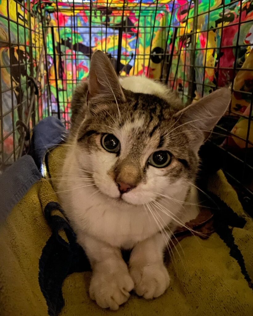 Finally a tally for May 9 rockats.org