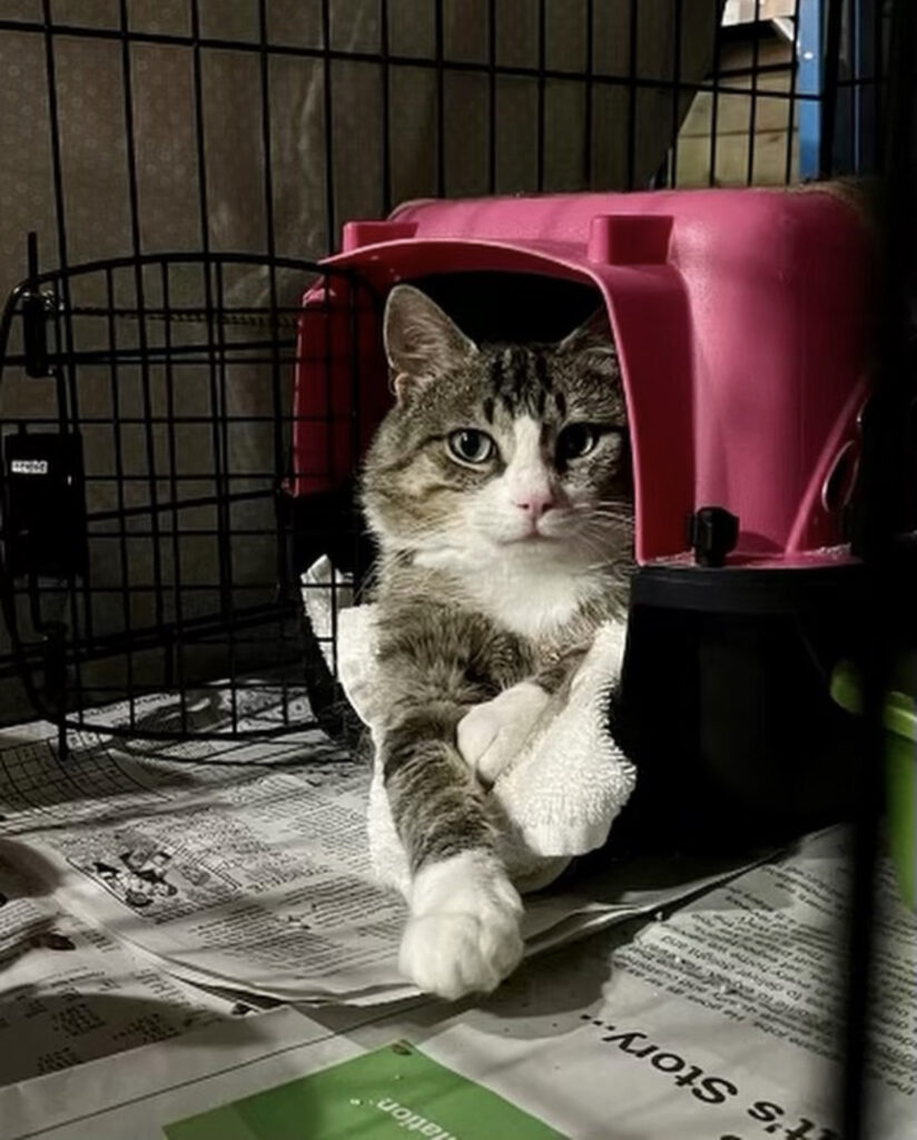 Relocation when needed 2 rockats.org