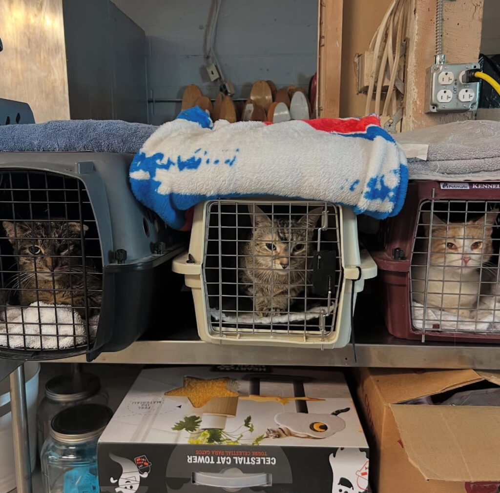 rockats.org