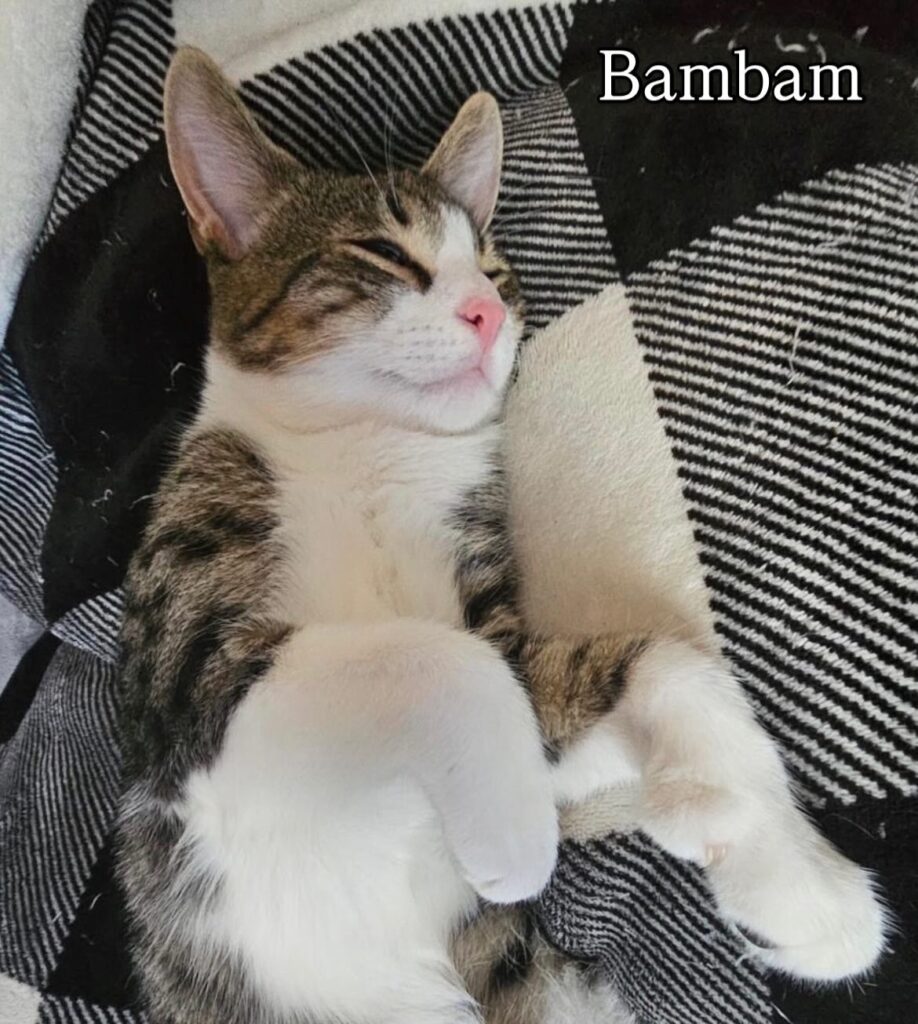 So Much to Be Thankful For 10 rockats.org