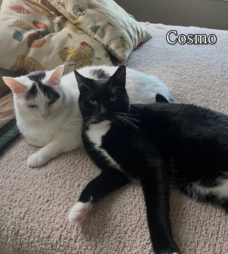 So Much to Be Thankful For 1 rockats.org