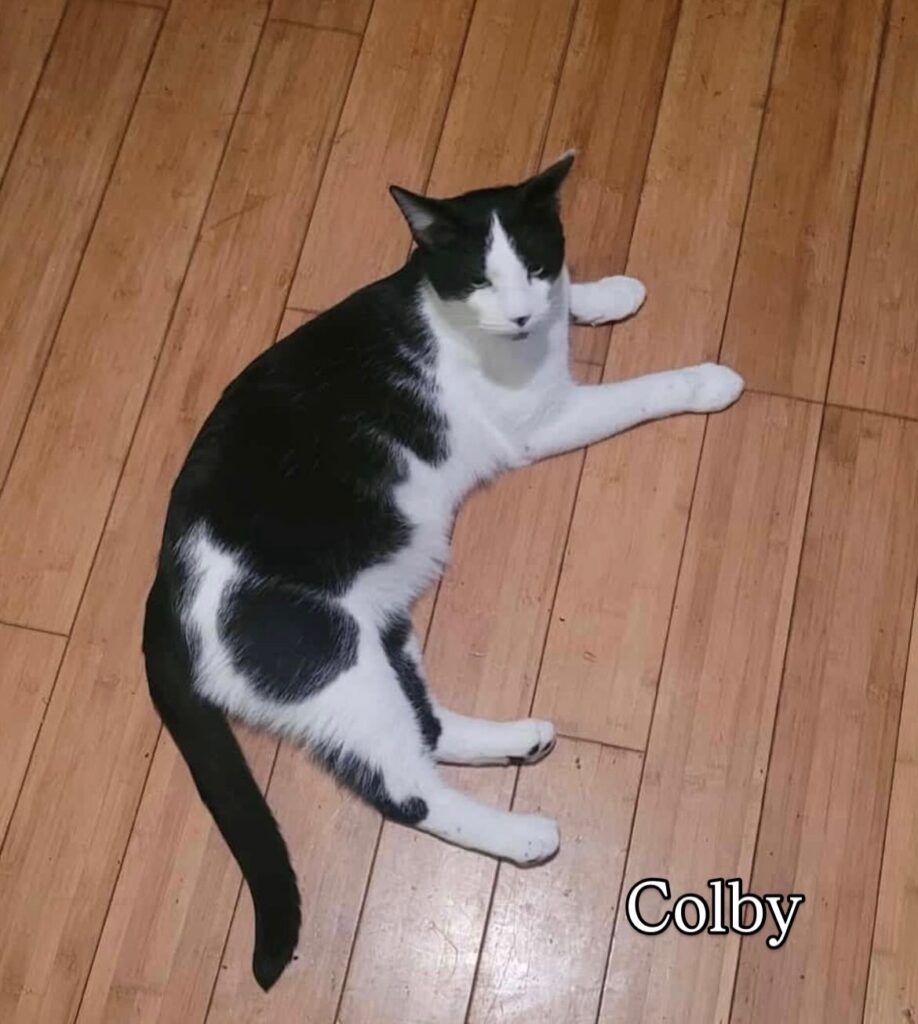 So Much to Be Thankful For 2 rockats.org