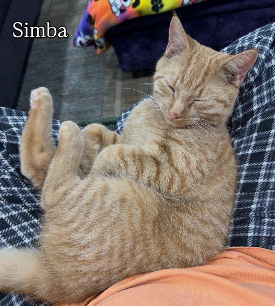 So Much to Be Thankful For 9 rockats.org