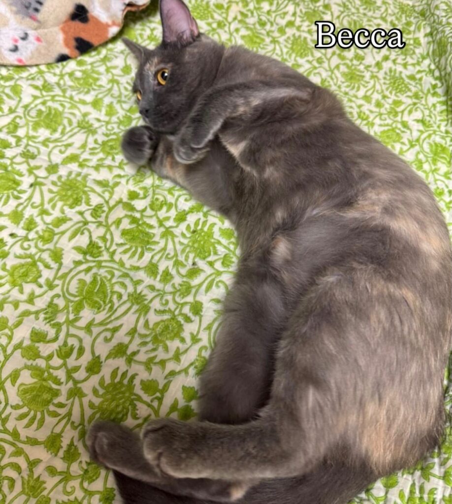 So Much to Be Thankful For 8 rockats.org