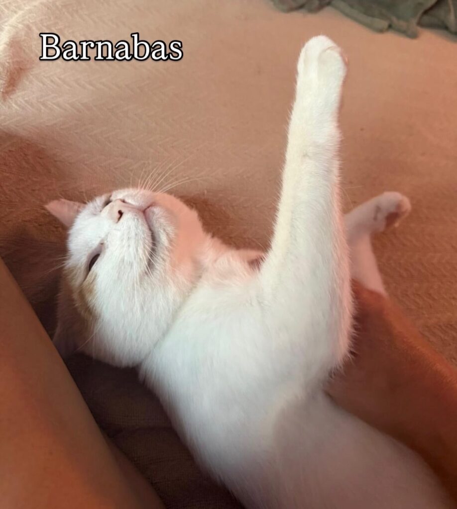 So Much to Be Thankful For 11 rockats.org