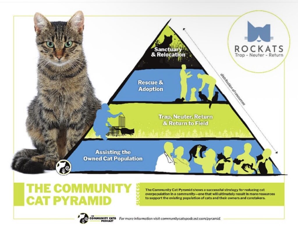 rockats.org