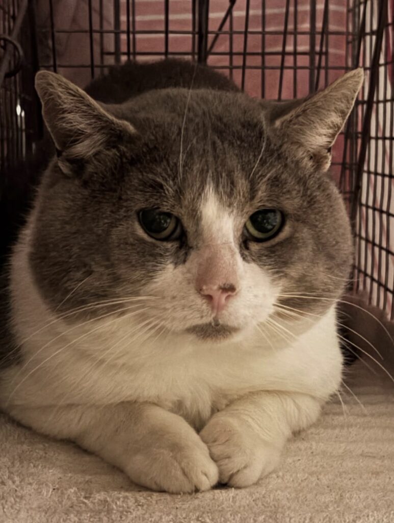 Collaborating to Make a Difference 1 rockats.org