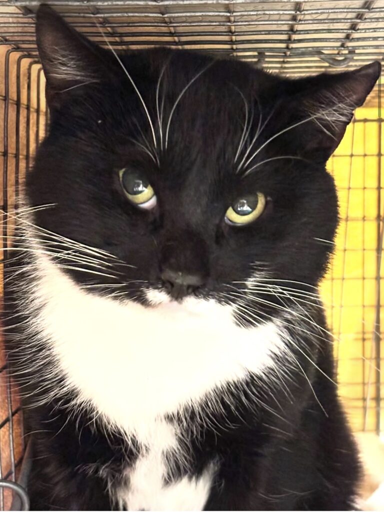 Collaborating to Make a Difference 9 rockats.org