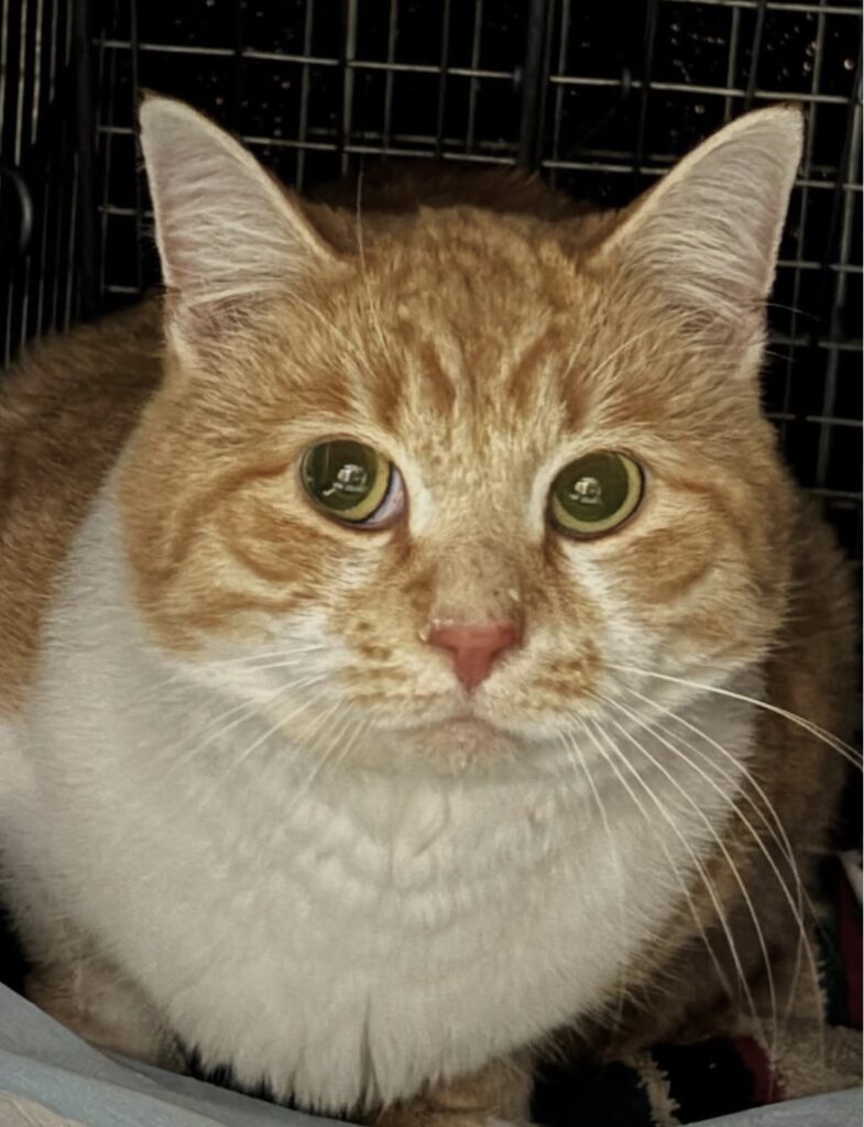 Collaborating to Make a Difference 8 rockats.org