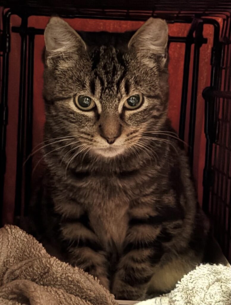 Collaborating to Make a Difference 7 rockats.org