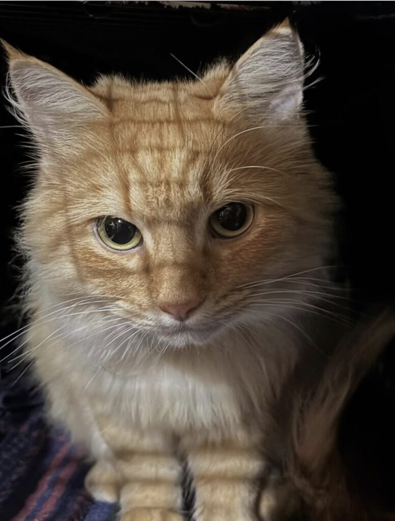 Collaborating to Make a Difference 6 rockats.org