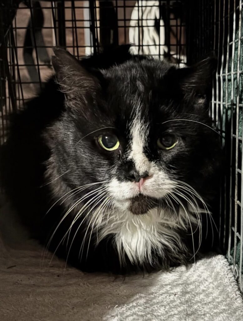 Collaborating to Make a Difference 5 rockats.org