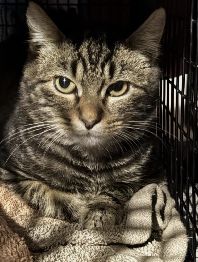 Collaborating to Make a Difference 4 rockats.org