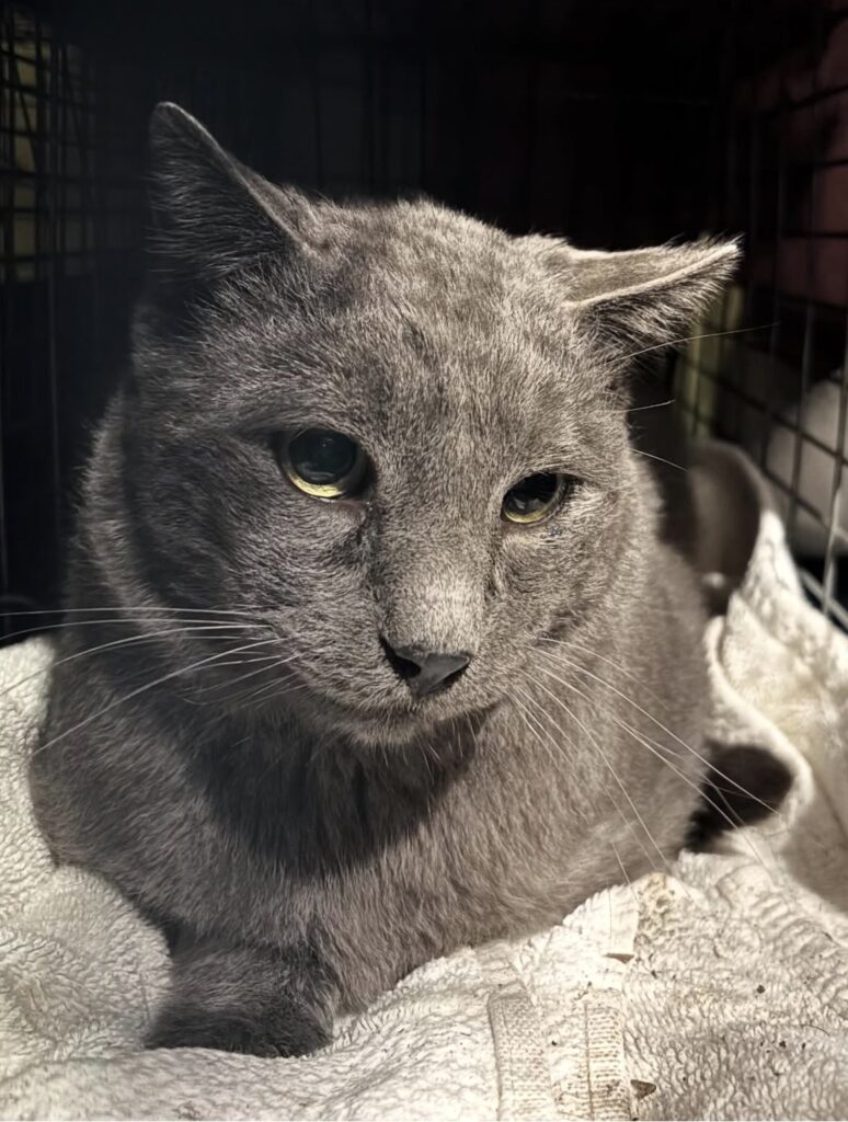 Collaborating to Make a Difference 2 rockats.org