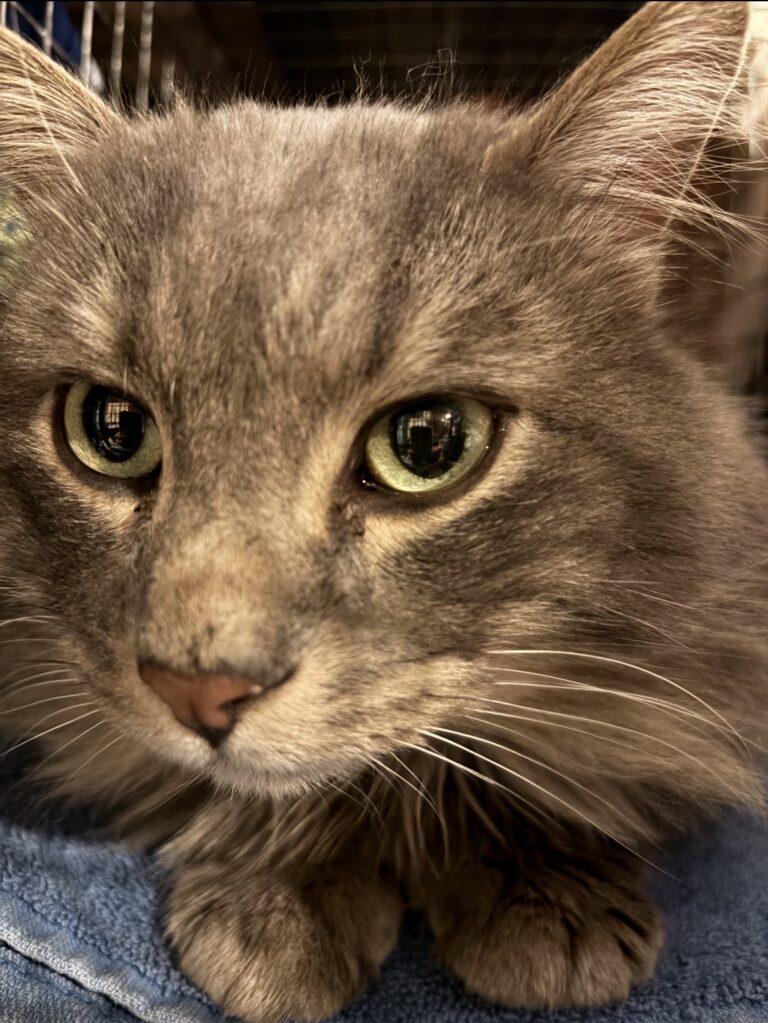 Honoring the Hearts Behind Our Mission 7 rockats.org