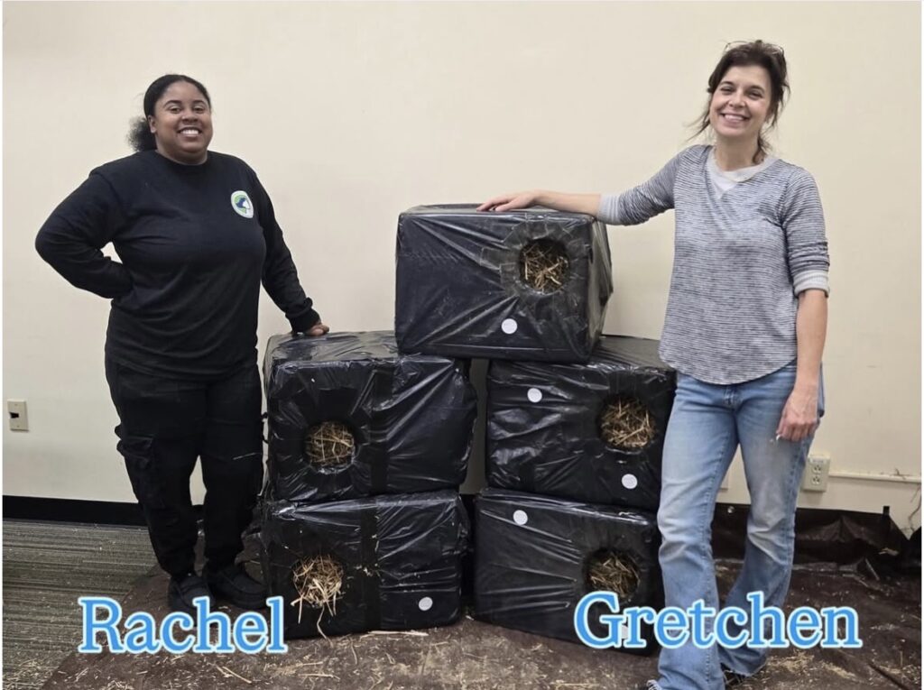 Grateful for a Cozy, Cat-Loving Community 1 rockats.org