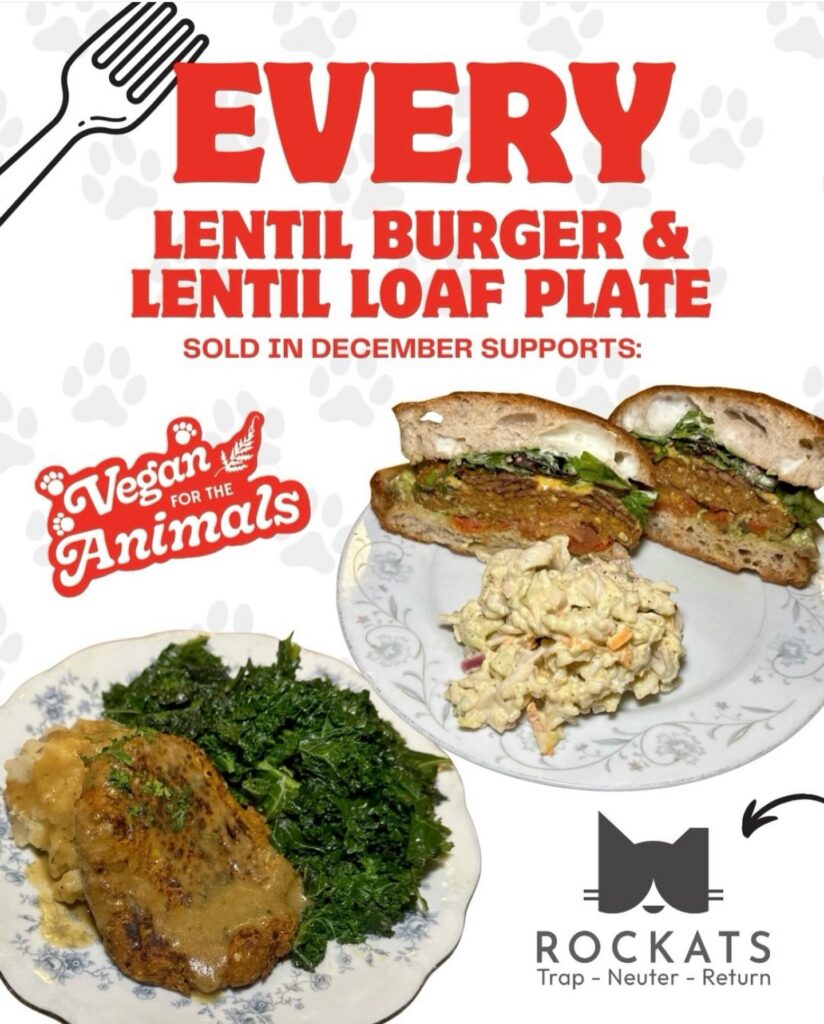 RocKats Chosen for Red Fern’s December Fundraiser 1 rockats.org