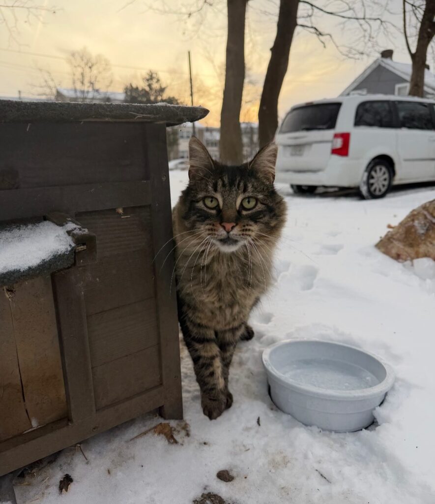 What TNVRM Looks Like in Action 9 rockats.org