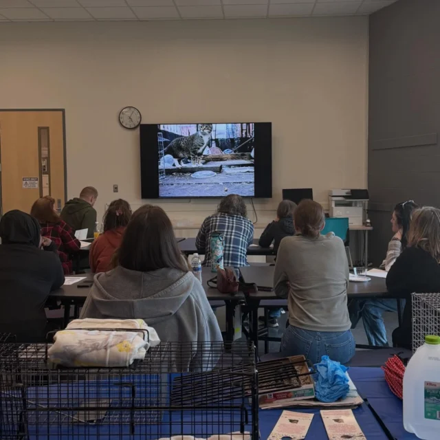 Such a great group of cat advocates at our trap training today. Some have been spaying and neutering the cats in their neighborhood for years and others are just getting started. Thank you for everything you are doing 🐱Our volunteers and 19th Ward Community Cats are happy to support your efforts and assist as needed. The more we work together the more we accomplish 💕