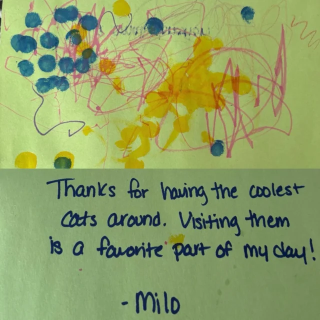 Thank you Milo for your kind words, colorful art, and donation 💕 We agree!  Our cats are pretty cool and we’re glad they brighten your day like they do ours 💕