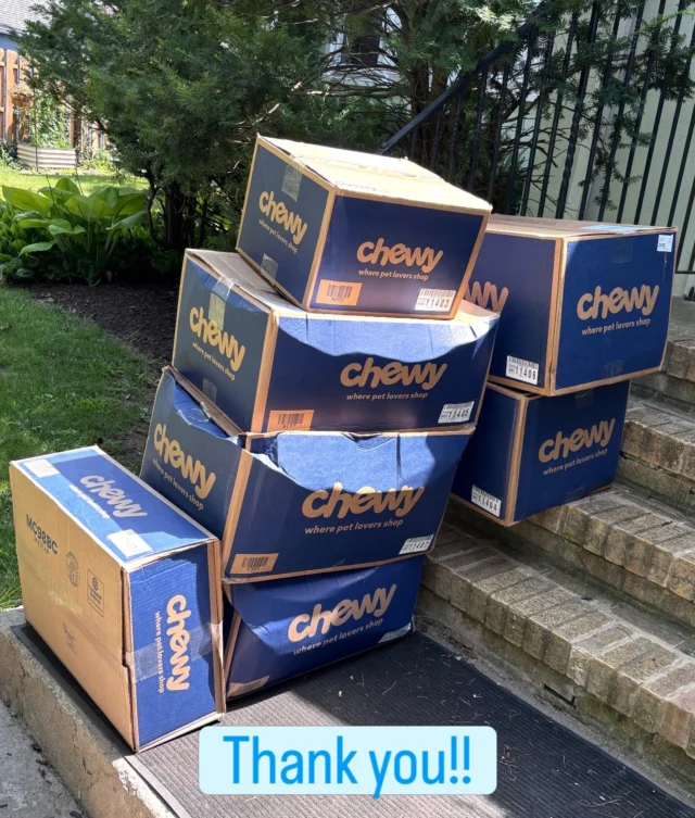 Thank you to everyone who has generously donated to help us out of a financial slump.  We asked and so many of you came to our rescue!  With higher vet costs the past few months, along with many kittens and friendly cats needing additional vet visits, the bills were piling up. We took advantage of every low-cost spay/neuter appointment offered to us last month.  In July, 25 females were spayed and 24 males neutered thanks to your generosity 🐱To the wonderful person or people (we don’t get donor info from Chewy so sadly we don’t know who you are) who donated much needed Friskies, Fancy Feast, and dry food — Thank You ❤️ Between our TNVR cats, our colony cats, and our current fosters (18 kittens and 20 adults) we go through so much food every week 🐱 This was an incredible surprise. Thank you everyone!  We couldn’t do this without you. ❤️