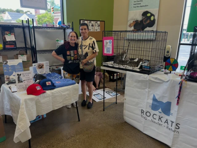 Come see us, meet some kittens and check out some cool merch from KASA (@kids_art_supporting_animals ) until 4pm today at Pet Supplies Plus on Monroe/Goodman (@psp_monroeaveny )!